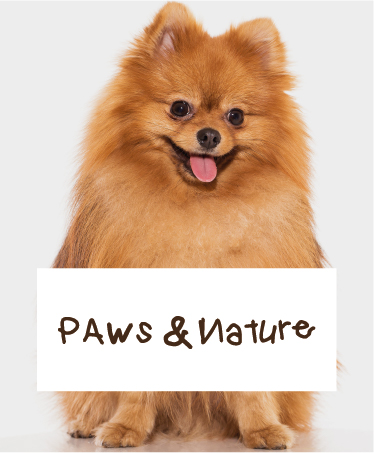 Furry Friend (Paws & Nature)